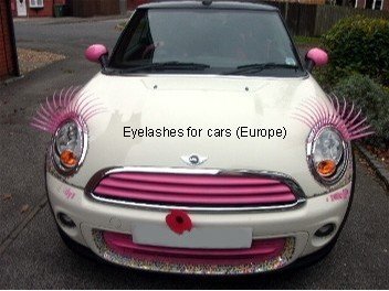pink eyelashes for cars