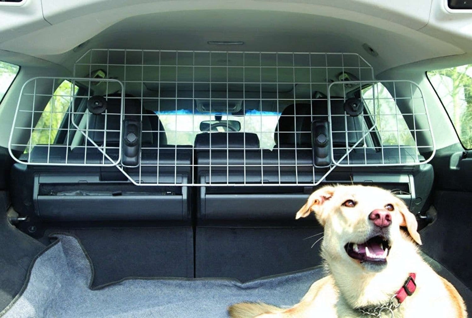 xtreme auto dog guard barrier