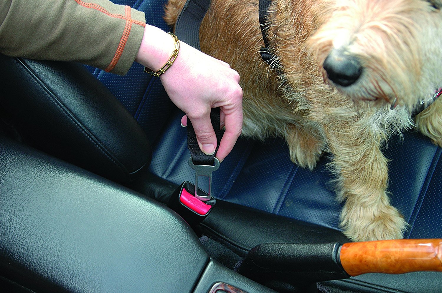 Clix Car Safe Harness Seat Belt Buckle
