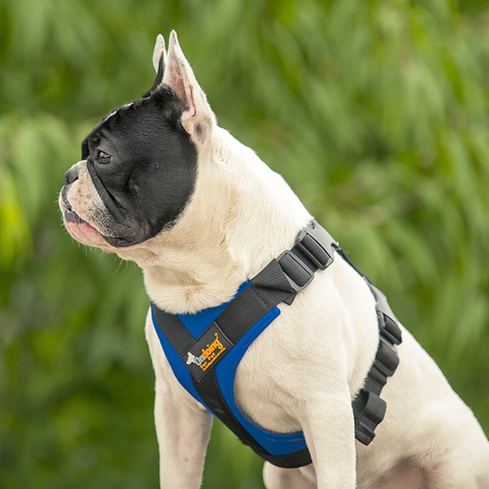 ondoing dog car harness