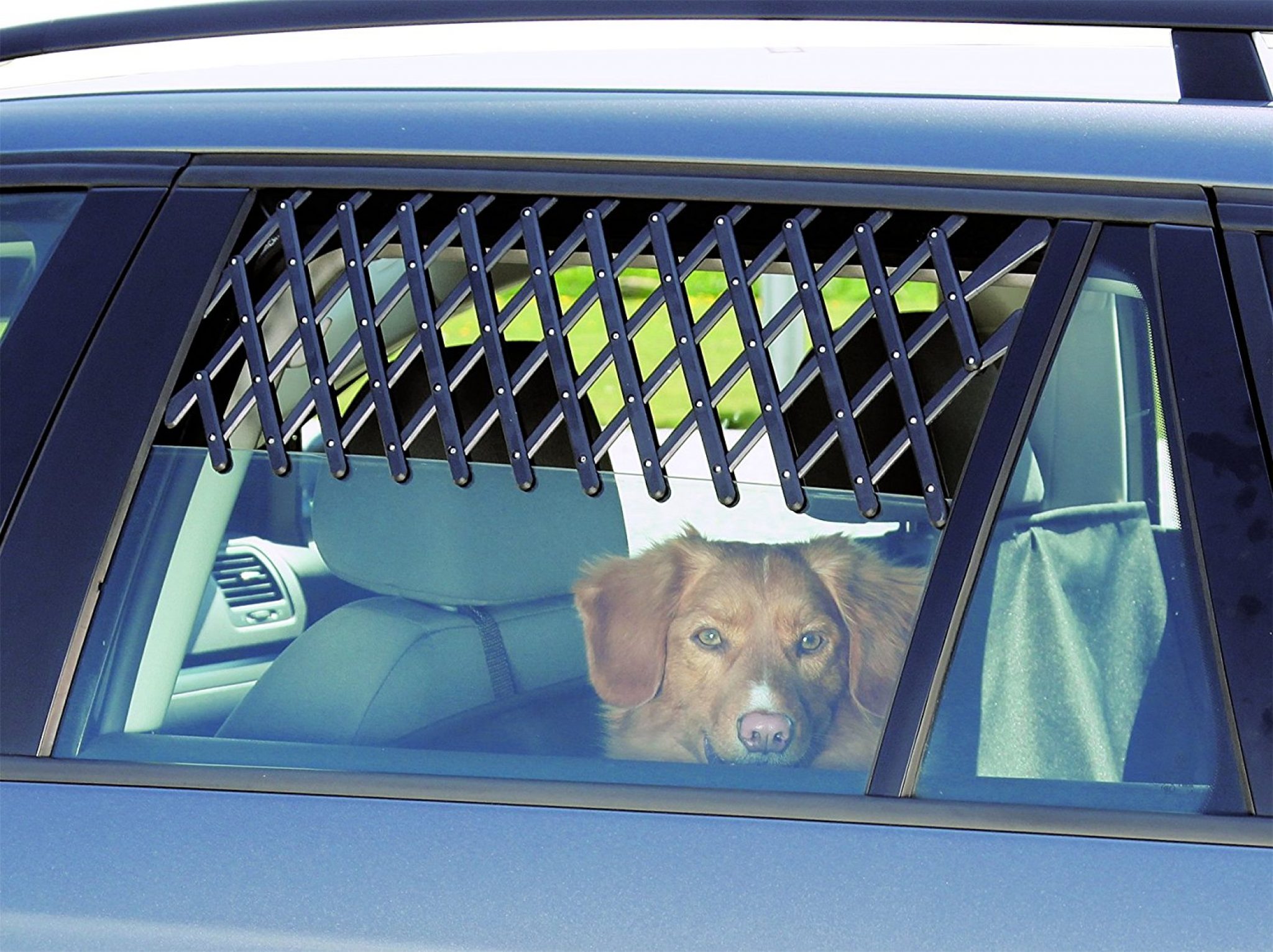 Review of Trixie Ventilation Lattice Car Window Guard The Car Stuff