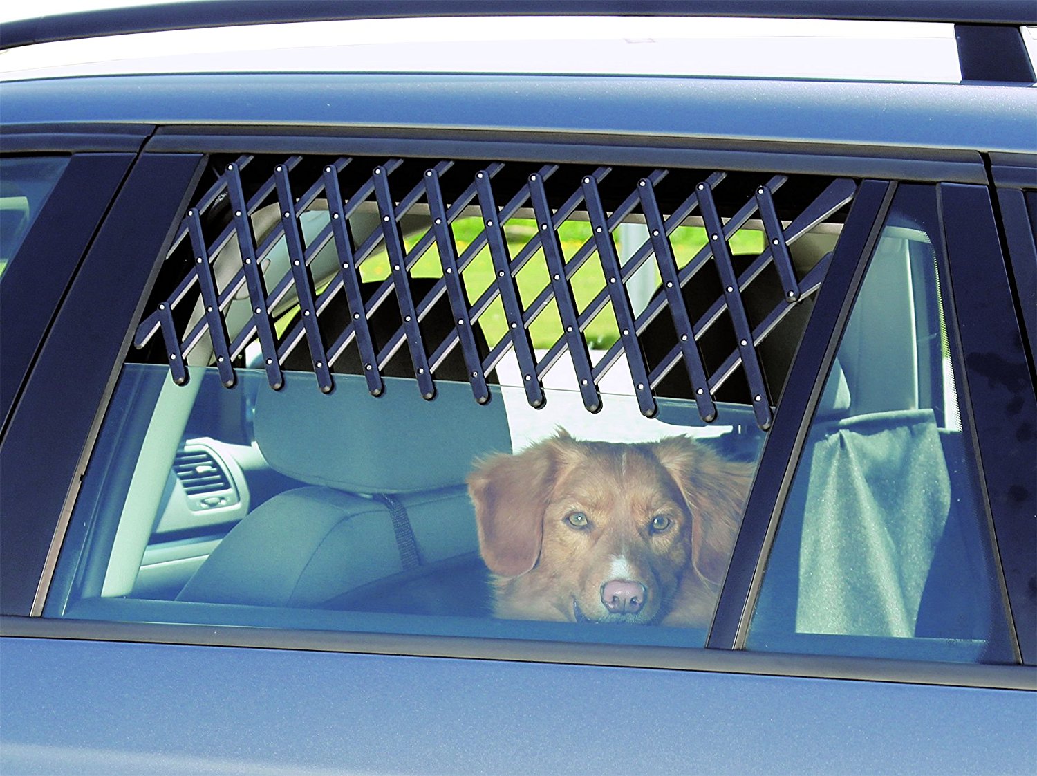 Review of Trixie Ventilation Lattice Car Window Guard