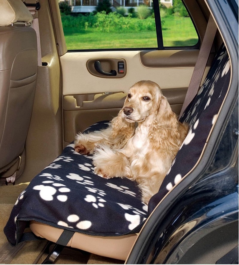 Review of Topist (Taygeer) Pet Hammock a Dog Car Seat Cover