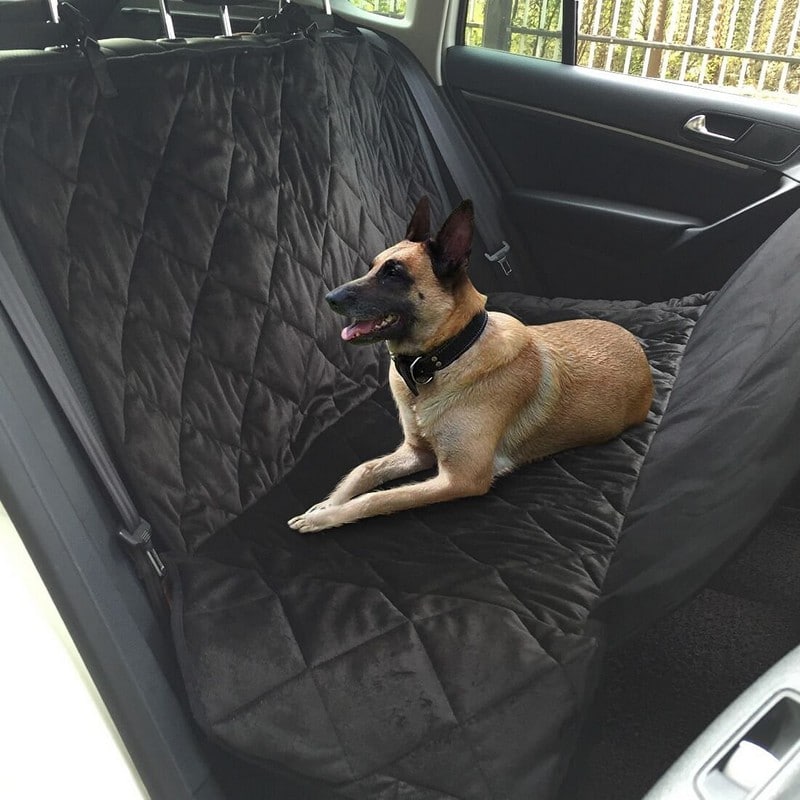 Review Of Eden Petz Dog Car Seat Protector The Stuff - Car Back Seat Protector Dog