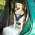 Review of CLIX Car Safe Dog Harness
