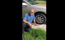 How Long Do Tires Last on a Car? Discover the Lifespan of Your Wheels!