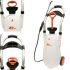 Review of Streetwize SWPW Portable Pressure Washer