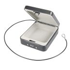 Review of Silverline Digital Car Security Safe