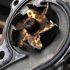 Jeep Wrangler Tire Sizes & Lift Requirements: A Comprehensive Guide