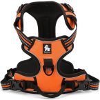 Review of FIE Adjustable Dog Car Harness